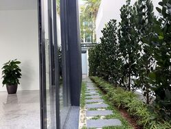 Holland Grove Park (D10), Detached #534741461